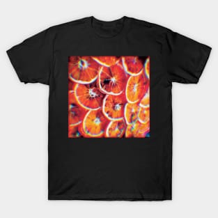 Dried Orange Slices T-Shirt